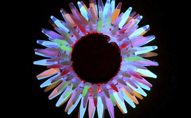 Tubos fluorescentes de proteínas.