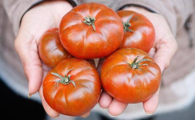 Demuestran que regar menos los tomates mejora su sabor y su valor funcional