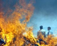 Al menos 30 insurgentes muertos en una redada en el sur de Afganistán/