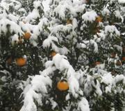 Comienza el invierno con el día más corto y la noche más larga del año