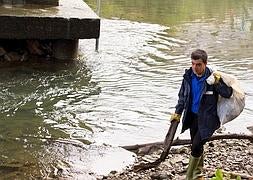 Voluntarios limpian el Urumea
