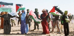 Más de dos millares de personas participaron en la marcha de protesta, hacia el muro que delimita el territorio saharaui./