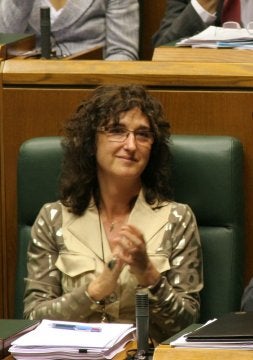 Zenarruzabeitia, en el pleno del pasado viernes. /TELEPRESS/