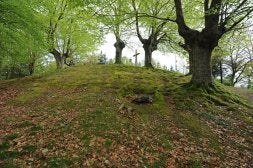 La realización de un estudio geológico de los terrenos de la Cruz de Arrate para construir un mirador ha permitido localizar una antigua fuente prehistórica. /F. MORQUECHO/