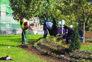 A través del proyecto Ahalbide se desarrollan trabajos de jardinería. ::
ARIZMENDI/