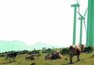 Energía eólica. Ganado junto a los aerogeneradores situados en la sierra de Elgea, en terrenos de Oñati, Eskoriatza y Aretxabaleta. :: DV/