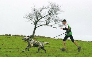 El 'canicross' se instala en Gorla