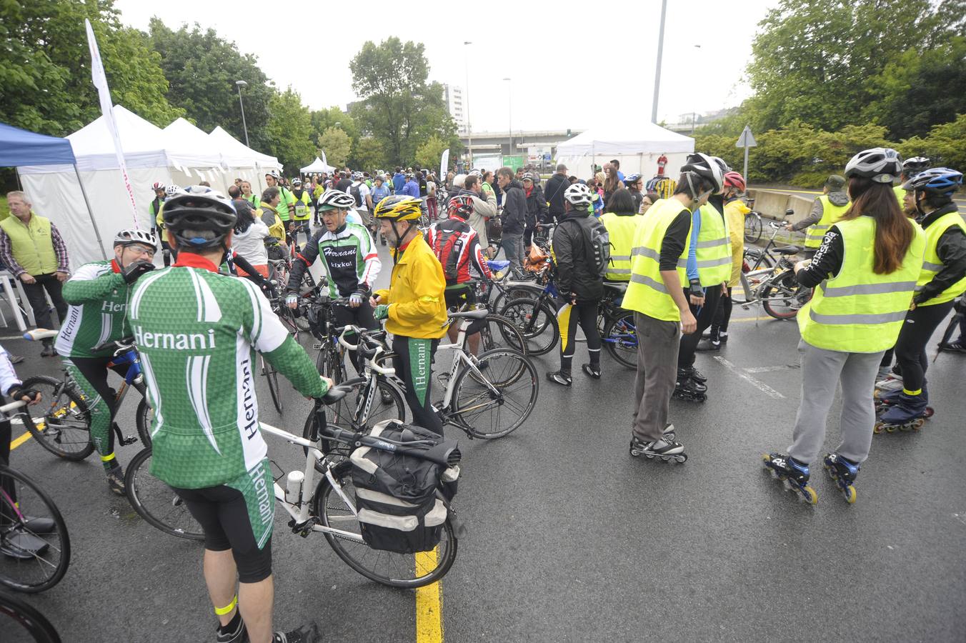 Ziklobia planta cara a la lluvia