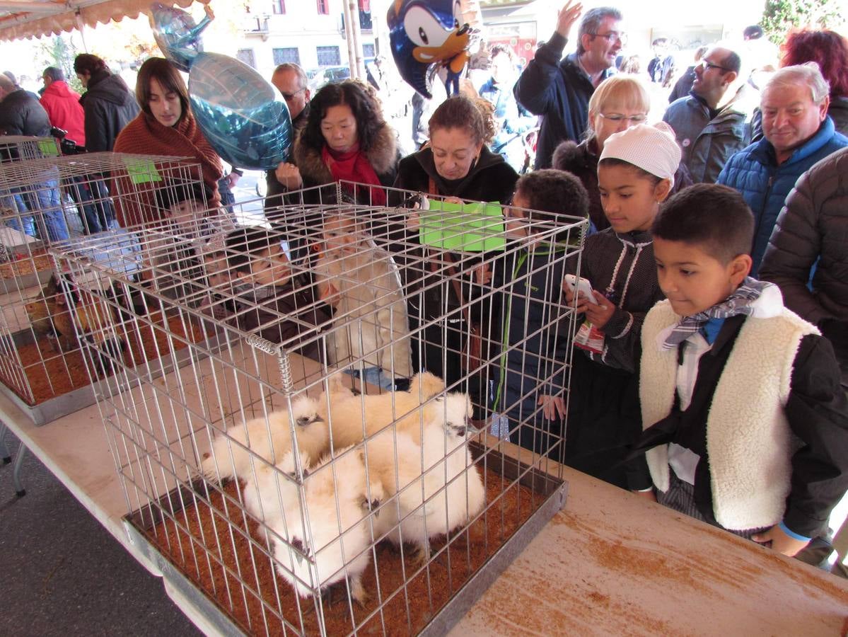 Arrasate celebra sus 'Santamasak'