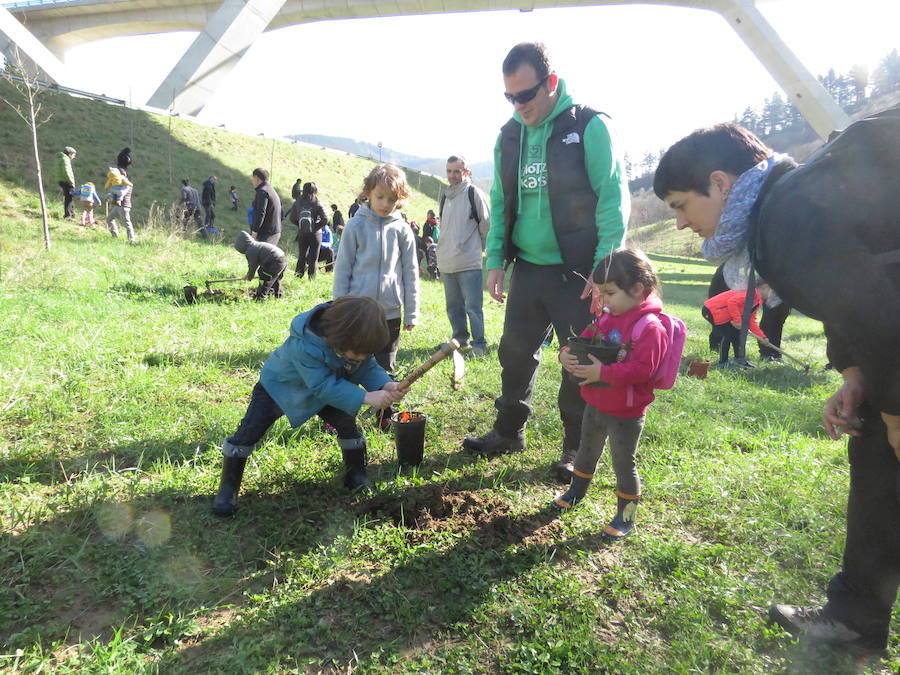 Zuhaitz Eguna en Aretxabaleta