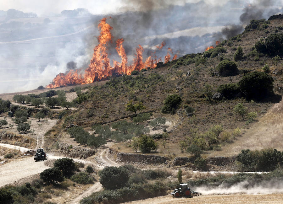 Una colilla arrojada desde un coche desata un grave incendio en Navarra