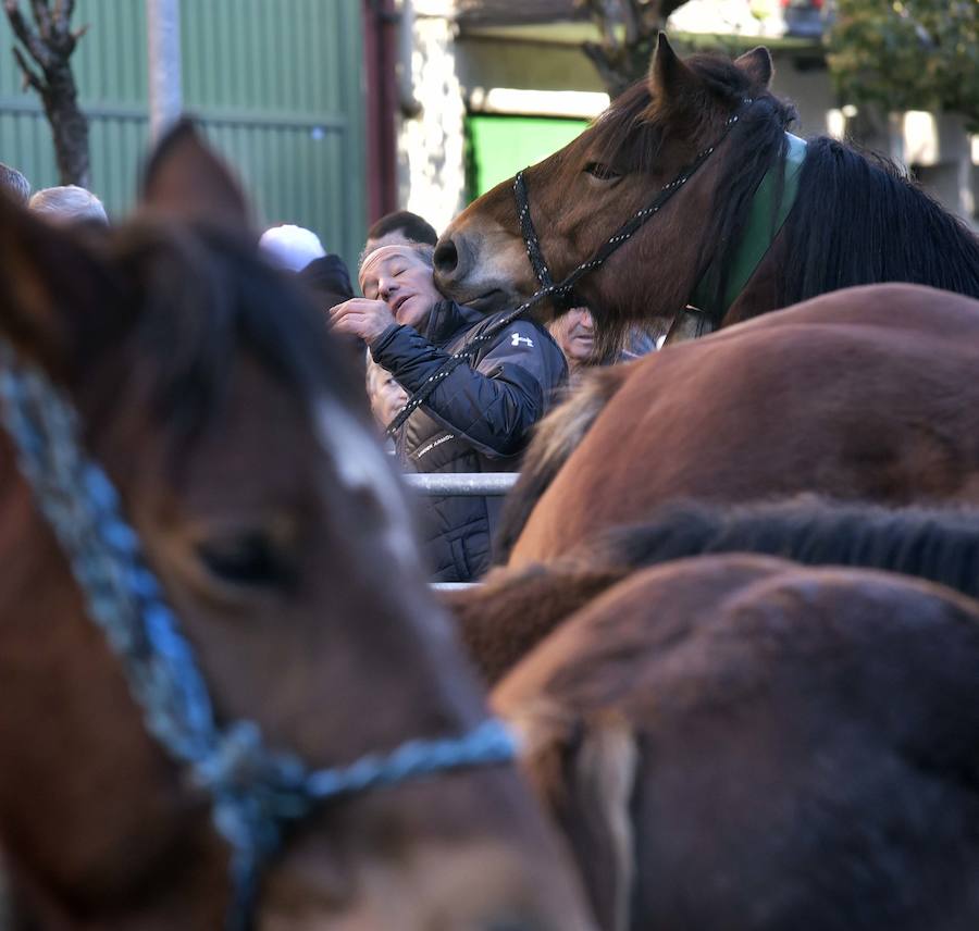 La feria de ganado de Santa Lutzi