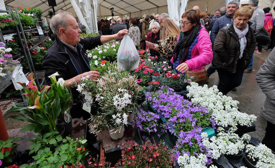 Udaberri koloreak Seguran