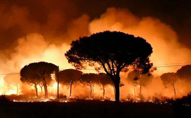 No hay relación entre el fuego en Doñana, la Ley de Montes ni Gas Natural