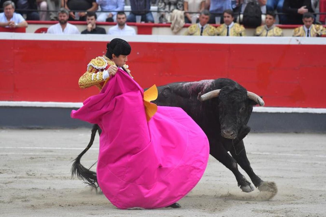 Oreja para 'Paulita' en la última corrida de Azpeitia