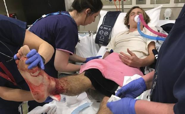 Nuevas criaturas marinas que comen carne humana