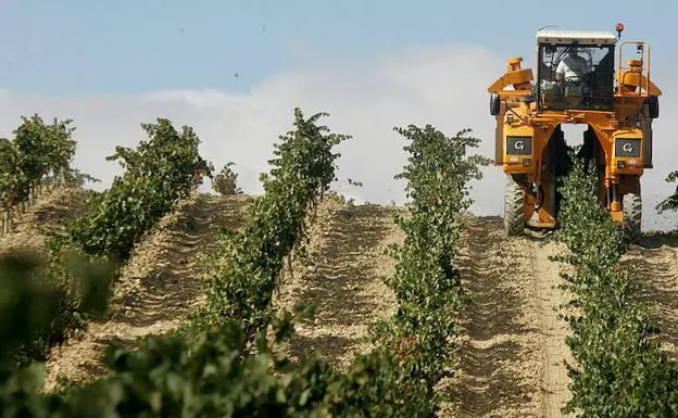 Cuarenta bodegas alavesas renuncian a abandonar la denominación de origen Rioja