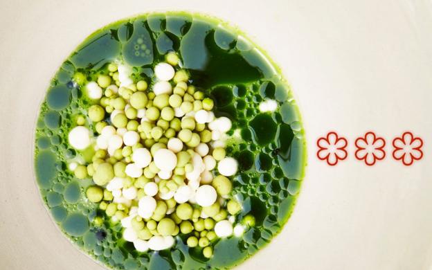 Rico menú con Winterbottom de postre