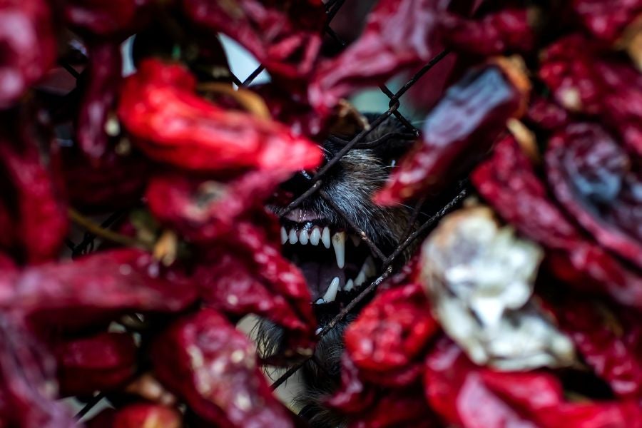 Una fachada de pimientos