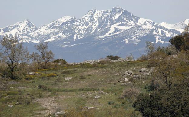 Palencia, un placer para los sentidos