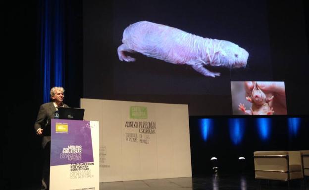 Carta Donostia, o cómo implicar a toda la sociedad en la batalla del alzhéimer