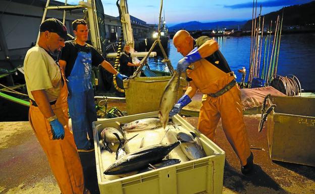 Satisfacción en la flota vasca por el aumento del permiso de pesca de bonito y atún
