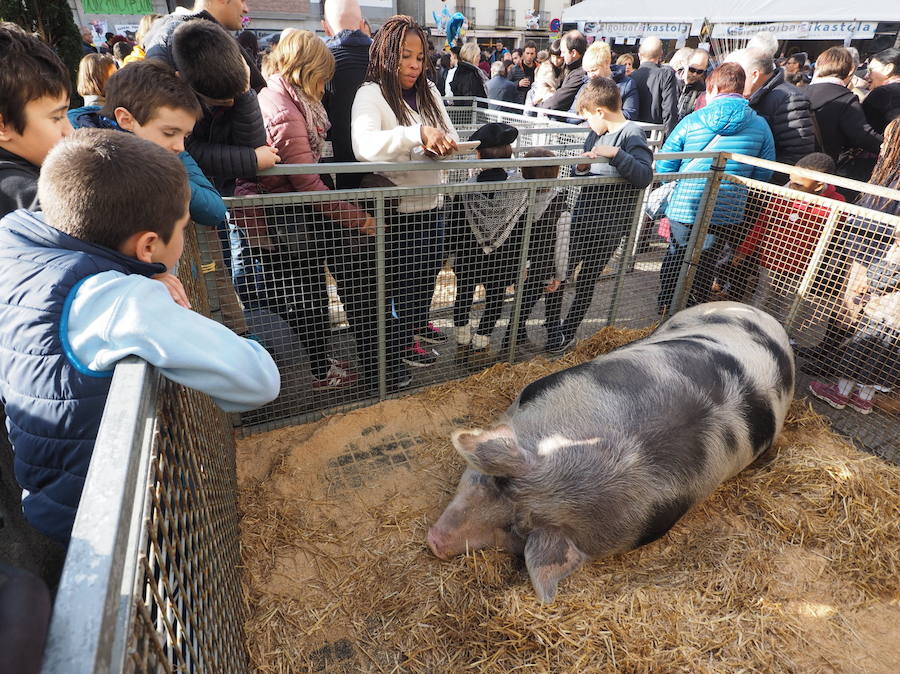 Lo mejor de los caseríos se da cita en Elgoibar
