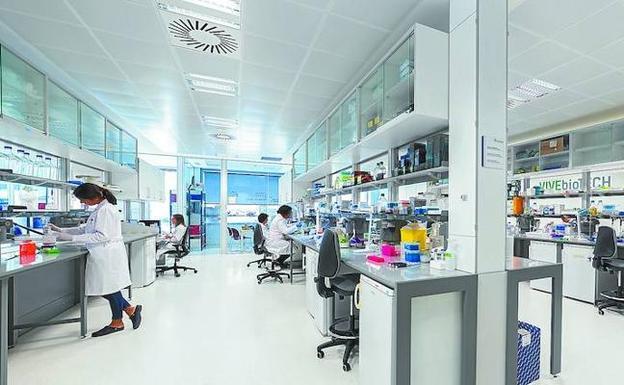 Más de 40.000 vascos sufren una enfermedad rara