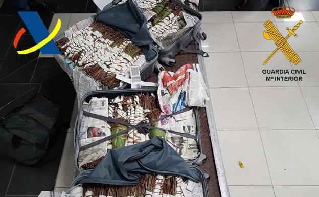 Aprehenden en el aeropuerto de Hondarribia 30 kilos de Khat, considerada la 'cocaína africana'
