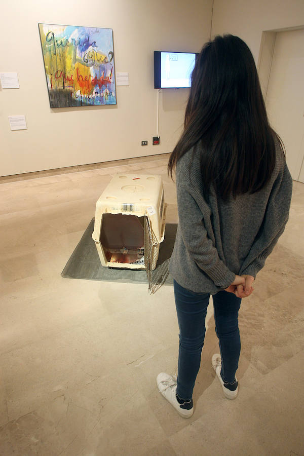 Exposición 'Traficadas, viajes a la esclavitud', en Okendo