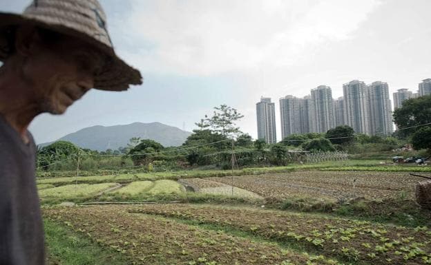 China compra tierras en el extranjero de forma voraz