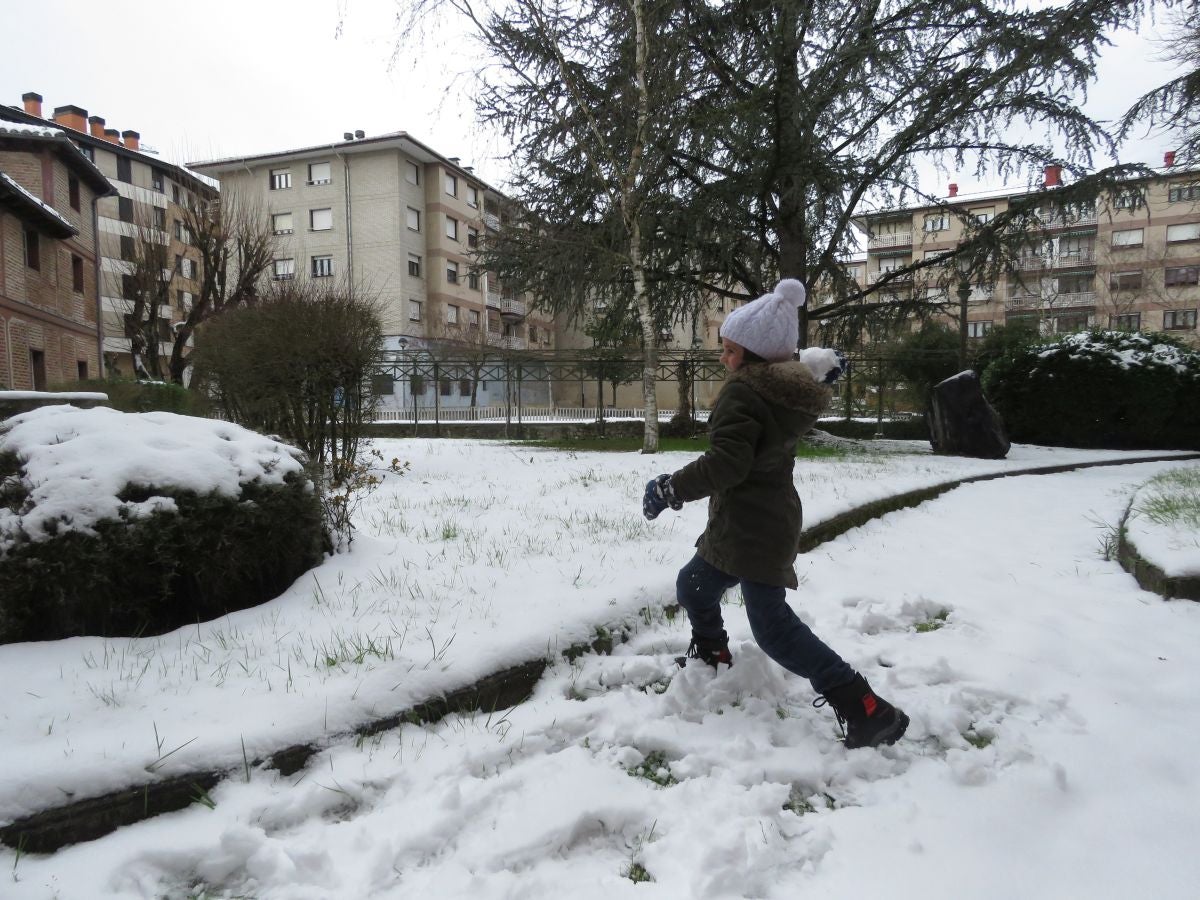 Manto blanco en Aretxabaleta