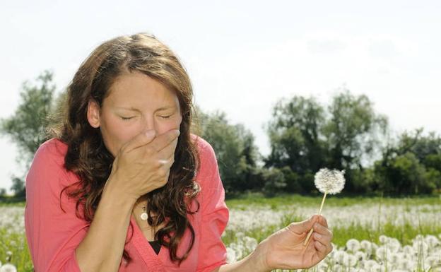 Los niveles de alergia se disparan en Gipuzkoa