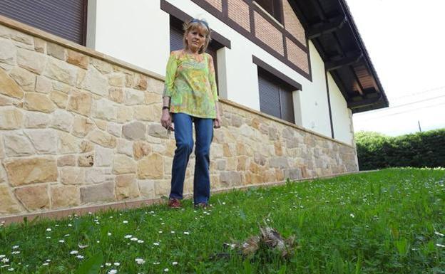 Un avión sufre daños en un motor tras chocar con un buitre cerca del aeropuerto de Loiu