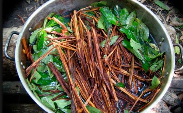 Detenido en el Baztan un 'chamán' por abusar sexualmente de una mujer