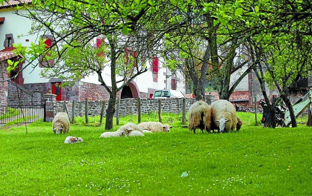 Casi un millón y medio de euros en ayudas a proyectos en el sector agrario