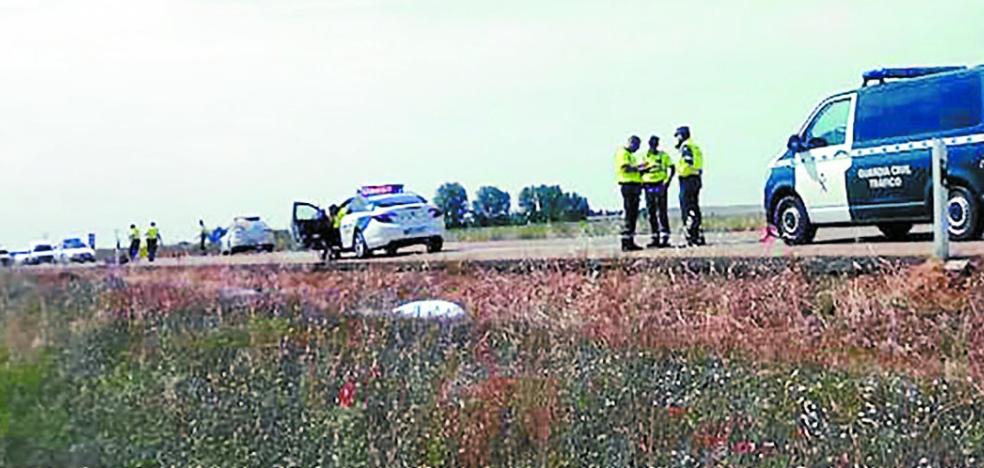 Mil peregrinos vascos hacia Santiago