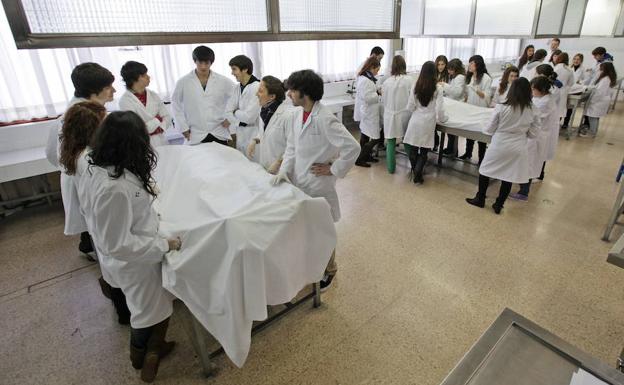 Euskadi dispondrá de 30 nuevas plazas MIR, a añadir a las 370 actuales, para la convocatoria de 2019