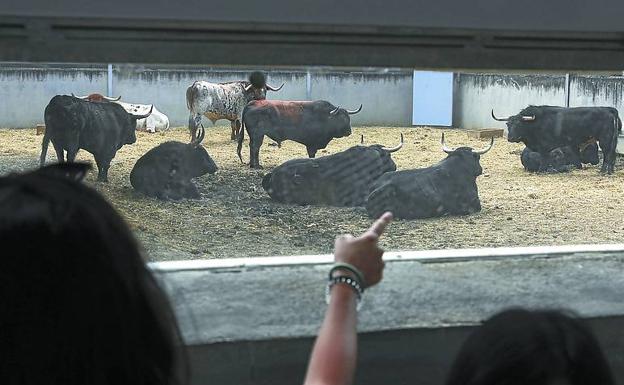 Todo listo para que la fiesta en Pamplona estalle a mediodía
