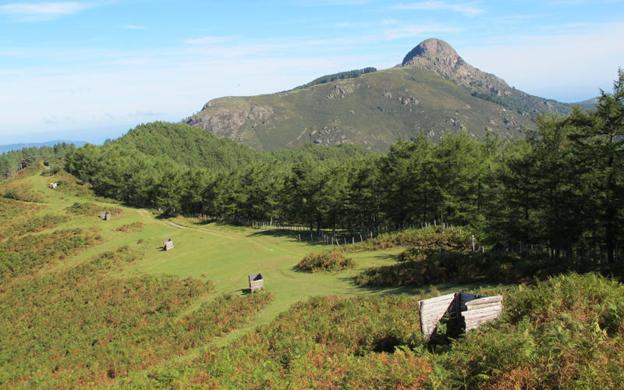 El mejor verano de tu vida