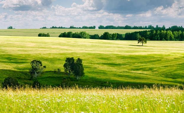 Aparecen en Reino Unido unos extraños círculos que podrían ser de una civilización antigua