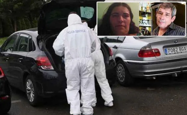 Una joven mata a su pareja de treinta puñaladas en Asturias