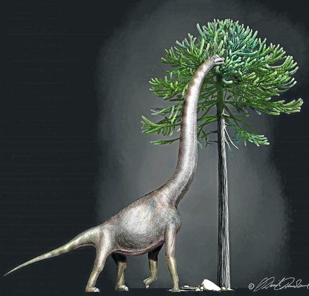 'Bigfoot' era un dinosaurio