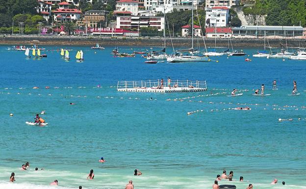 Localizan en aguas de Donostia dos ejemplares de 'carabela portuguesa'
