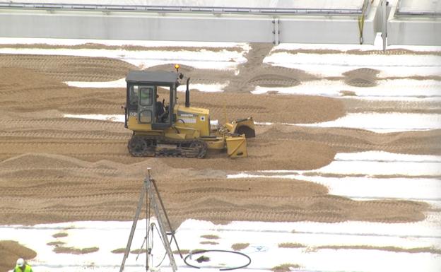 El césped de Anoeta será de nuevo holandés