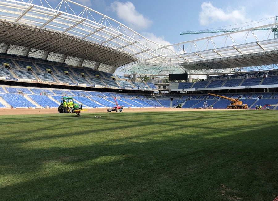 Anoeta se cubre de verde