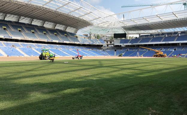 Anoeta se cubre de verde