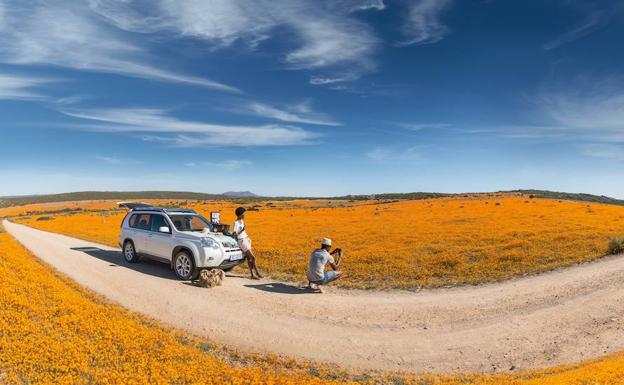 Las flores del desierto del Kalahari