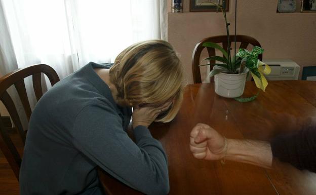 El Parlamento Vasco pide reformar la ley para que se controle a los agresores y no a las víctimas de violencia machista