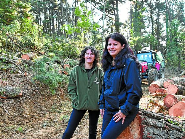 Zingira. Mari Azpiroz, de Arantzadi Zientzia Elkartea, y la concejala Gloria Váquez, en el bosque Zingira. 